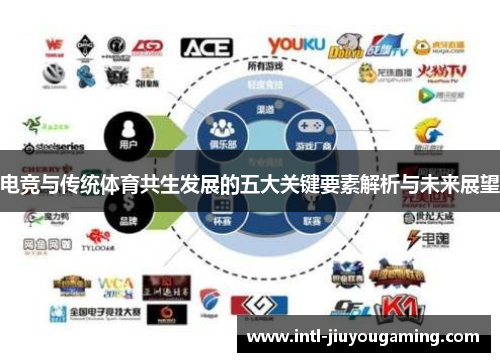 电竞与传统体育共生发展的五大关键要素解析与未来展望